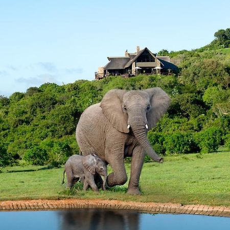 Hopewell Private Game Reserve Buyskloof Экстерьер фото