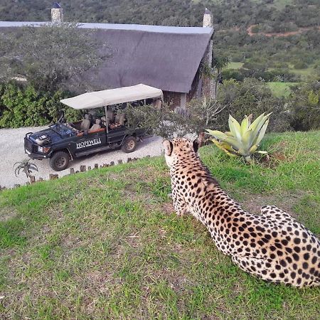 Hopewell Private Game Reserve Buyskloof Экстерьер фото