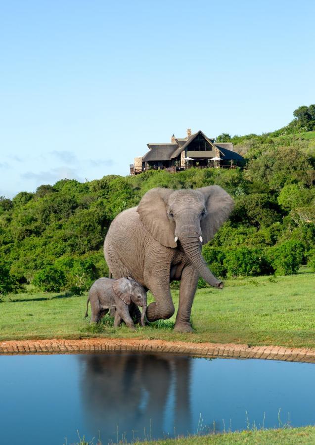 Hopewell Private Game Reserve Buyskloof Экстерьер фото